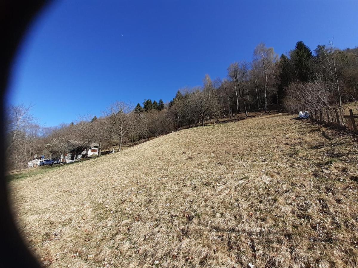 Chalet Tessa Bellagio Dış mekan fotoğraf