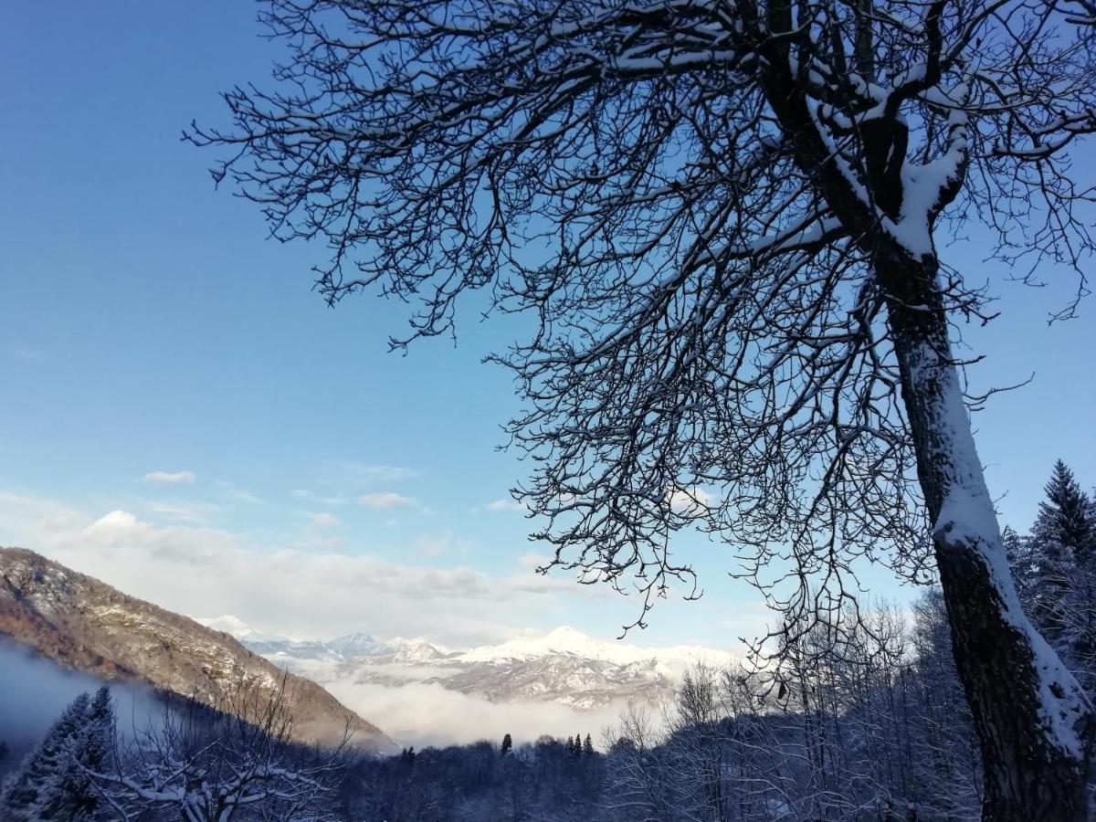 Chalet Tessa Bellagio Dış mekan fotoğraf