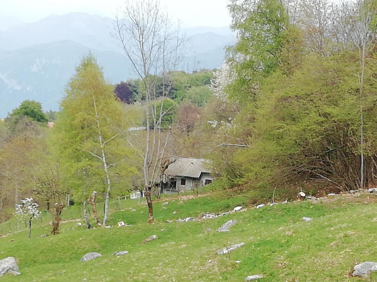 Chalet Tessa Bellagio Dış mekan fotoğraf