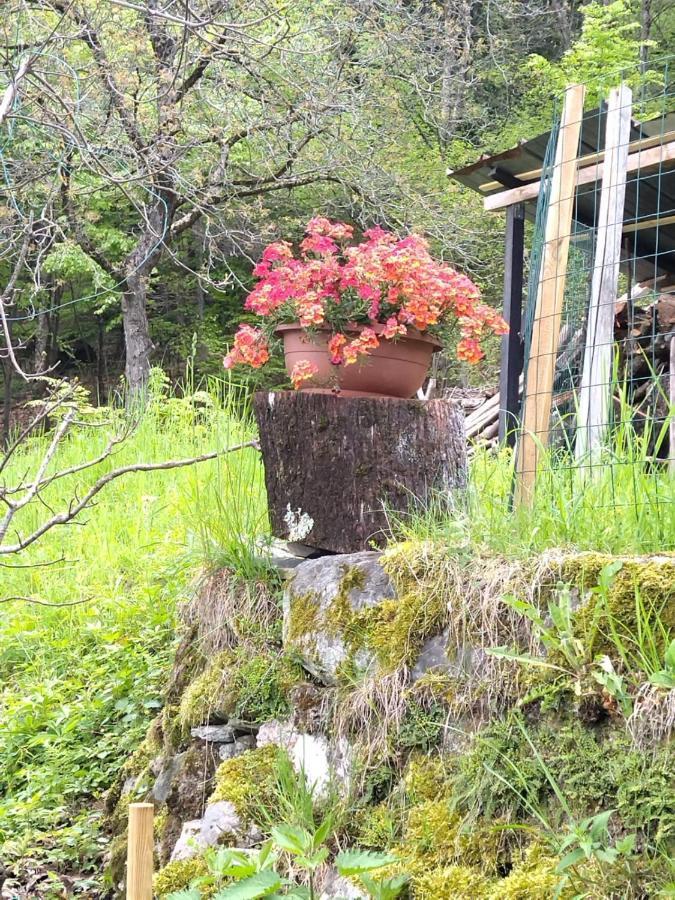 Chalet Tessa Bellagio Dış mekan fotoğraf